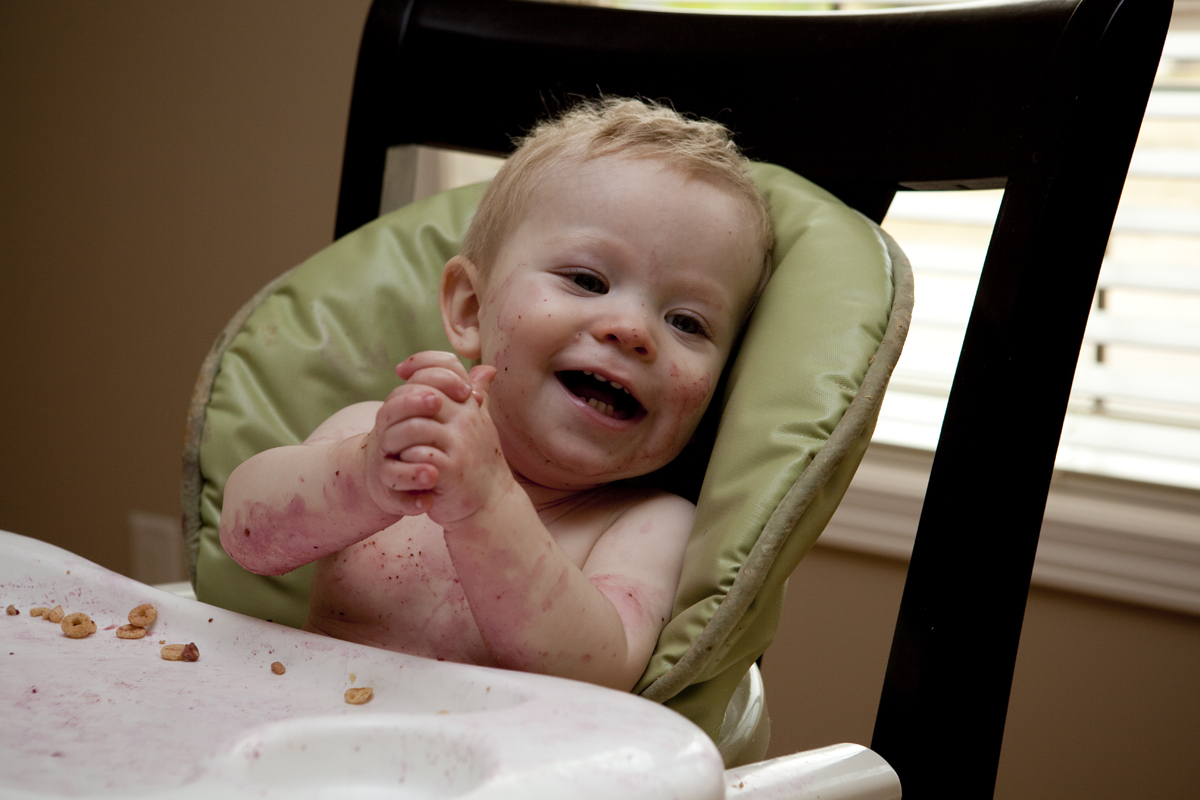 The Great Blueberry Massacre of 2009
