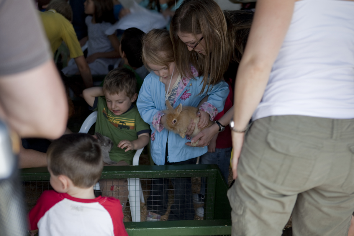 Maddux petting a bunny
