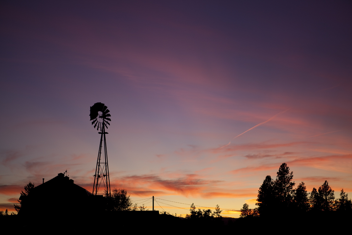 Sunset
