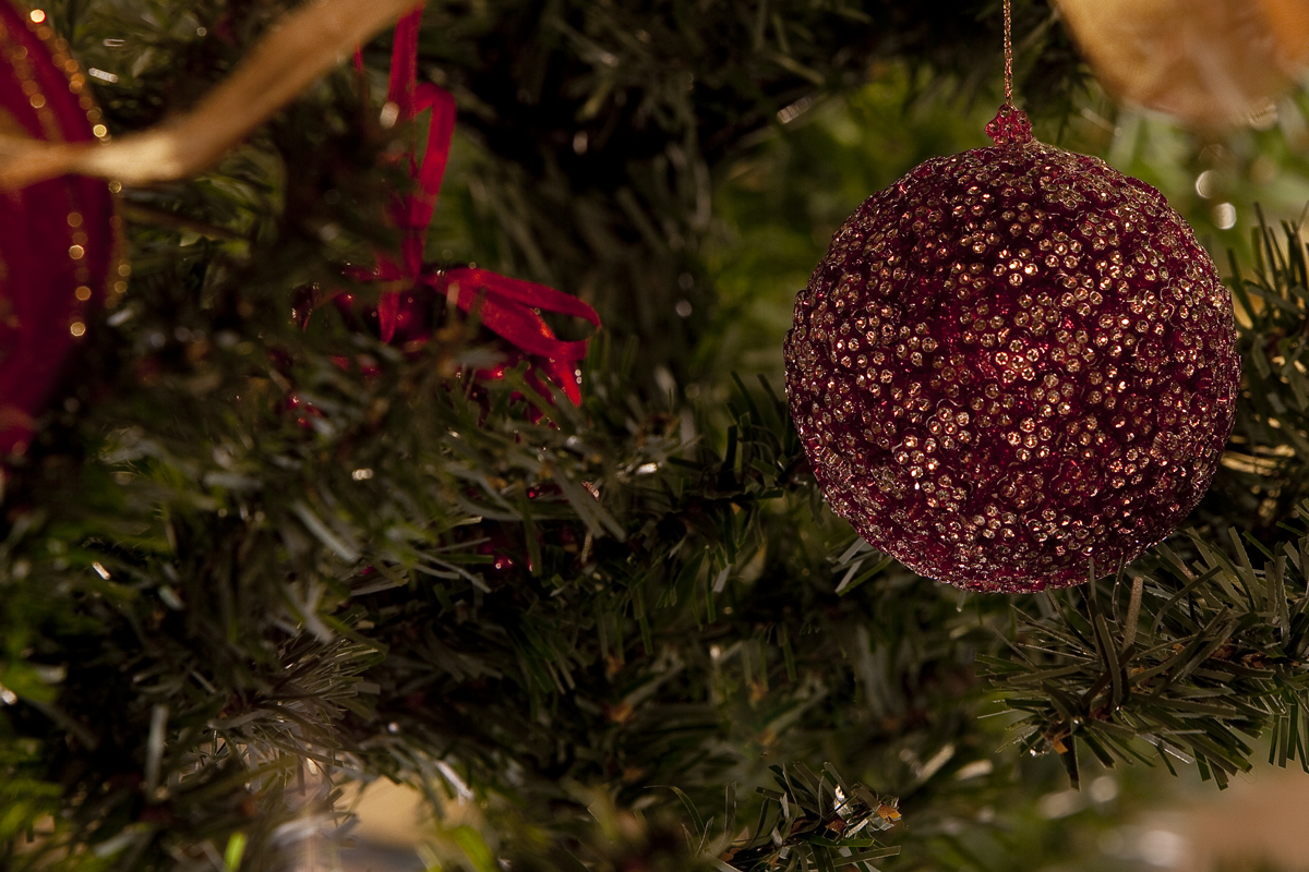 20091206_Christmas_Tree_8993.jpg