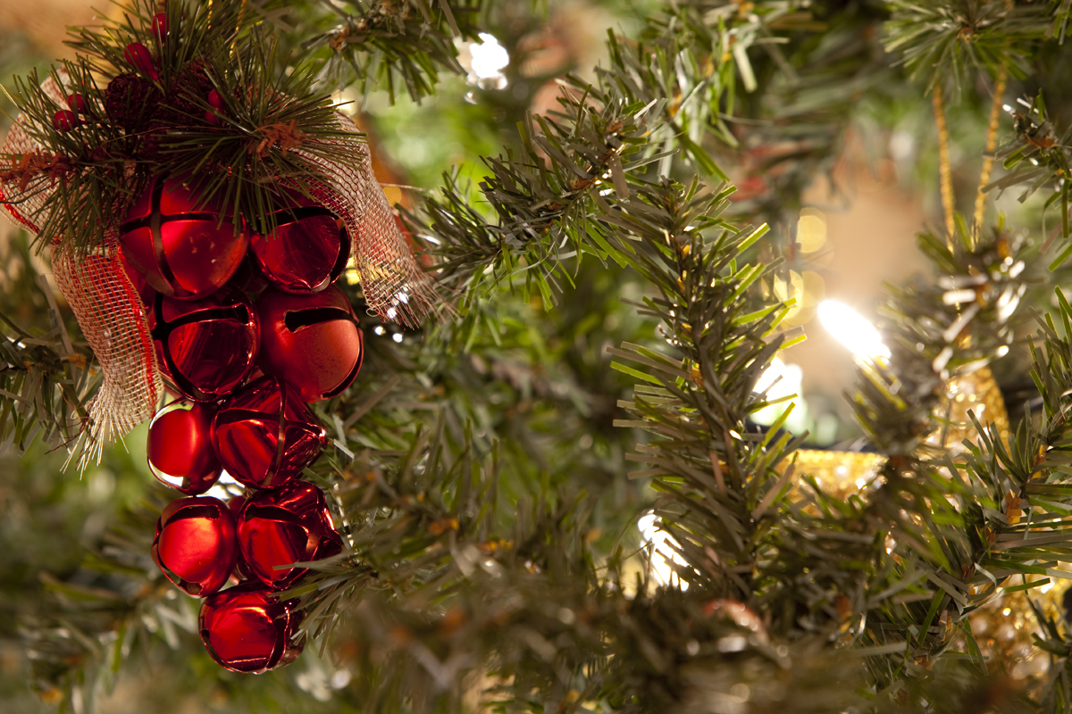 20091206_Christmas_Tree_8994.jpg