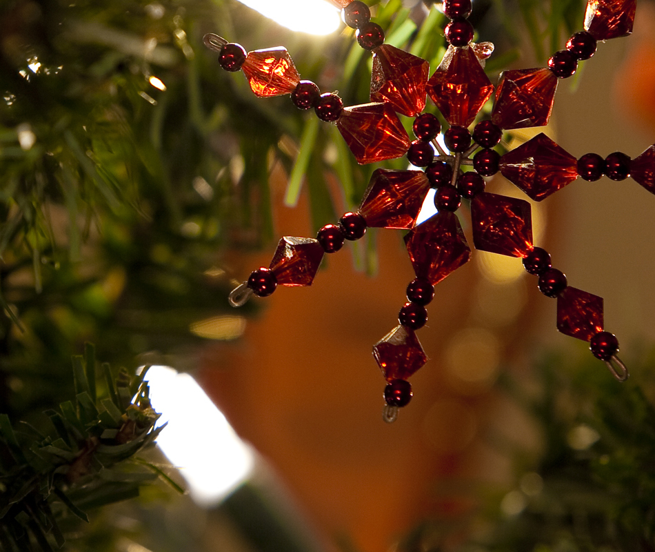 20091206_Christmas_Tree_9009.jpg