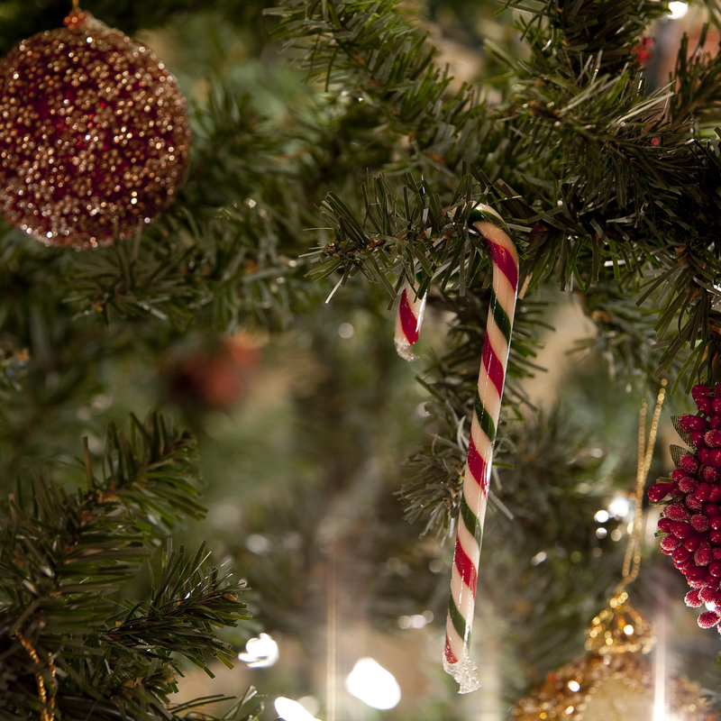 20091206_Christmas_Tree_9026.jpg