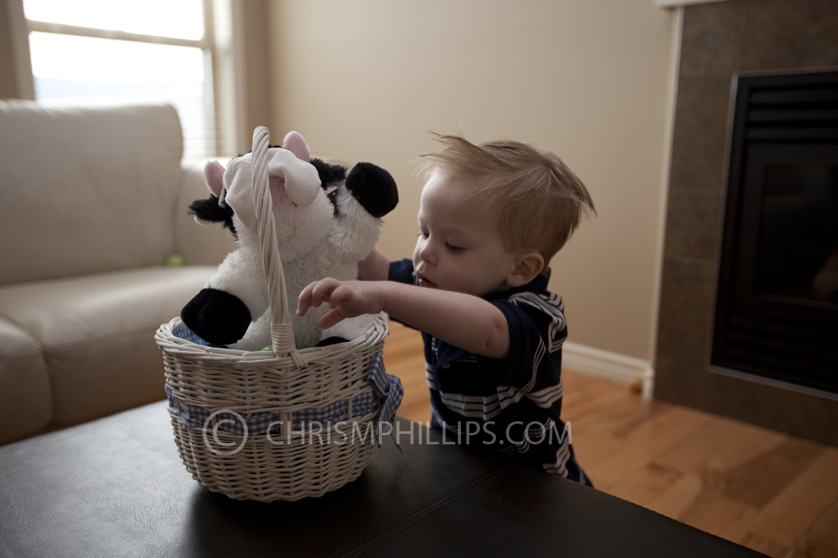 Thomas knows that the good stuff is under the stuffies
Keywords: Thomas