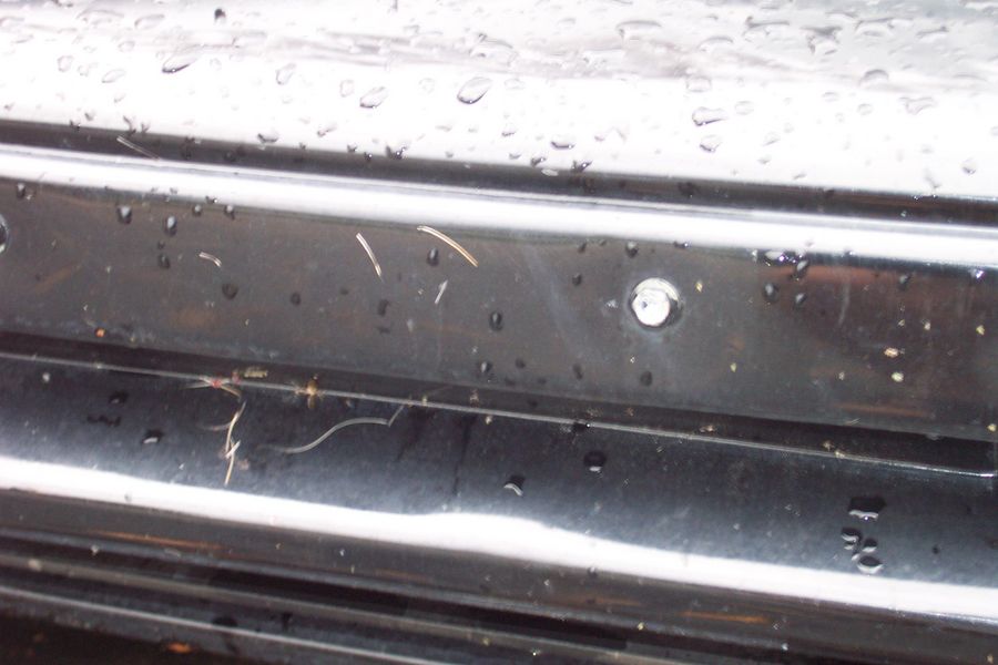 Deer hunting - October 2001
