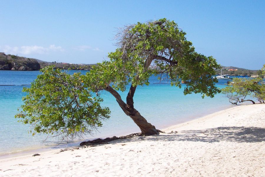 Barbara Beach
