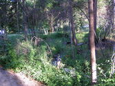Filename=2005-05-25-BCP-0230.JPG
Filesize=871KiB
Dimensions=2288x1712
Date added=Jun 06, 2005 2005-05-25-BCP-0230.JPG