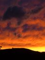 Filename=2005-09-01-kreutopian-sunset-02.jpg
Filesize=457KiB
Dimensions=1704x2272
Date added=Oct 04, 2005 2005-09-01-kreutopian-sunset-02.jpg