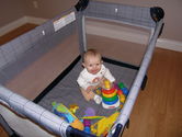 Filename=2005-10-09-0024.JPG
Filesize=1197KiB
Dimensions=3072x2304
Date added=Oct 10, 2005 2005-10-09-0024.JPG