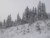 Filename=2005-12-04-0207.JPG
Filesize=1036KiB
Dimensions=3072x2304
Date added=Dec 19, 2005 2005-12-04-0207.JPG