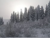 Filename=2005-12-04-0209.JPG
Filesize=1181KiB
Dimensions=3072x2304
Date added=Dec 19, 2005 2005-12-04-0209.JPG