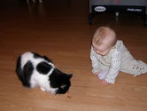 Filename=2005-12-06-0227.JPG
Filesize=1190KiB
Dimensions=3072x2304
Date added=Dec 19, 2005 2005-12-06-0227.JPG
