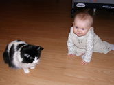 Filename=2005-12-06-0231.JPG
Filesize=1183KiB
Dimensions=3072x2304
Date added=Dec 19, 2005 2005-12-06-0231.JPG
