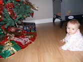 Filename=2005-12-18-0266.JPG
Filesize=1191KiB
Dimensions=3072x2304
Date added=Dec 19, 2005 2005-12-18-0266.JPG