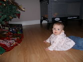 Filename=2005-12-18-0267.JPG
Filesize=1489KiB
Dimensions=3072x2304
Date added=Dec 19, 2005 2005-12-18-0267.JPG