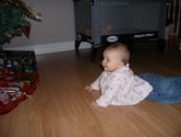 Filename=2005-12-18-0268.JPG
Filesize=1613KiB
Dimensions=3072x2304
Date added=Dec 19, 2005 2005-12-18-0268.JPG