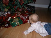 Filename=2005-12-18-0270.JPG
Filesize=1673KiB
Dimensions=3072x2304
Date added=Dec 19, 2005 2005-12-18-0270.JPG