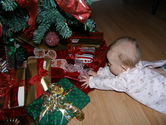 Filename=2005-12-18-0271.JPG
Filesize=1572KiB
Dimensions=3072x2304
Date added=Dec 19, 2005 2005-12-18-0271.JPG