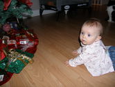 Filename=2005-12-18-0272.JPG
Filesize=1699KiB
Dimensions=3072x2304
Date added=Dec 19, 2005 2005-12-18-0272.JPG