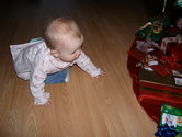 Filename=2005-12-18-0287.JPG
Filesize=1582KiB
Dimensions=3072x2304
Date added=Dec 19, 2005 2005-12-18-0287.JPG