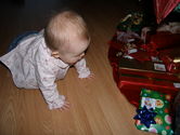 Filename=2005-12-18-0288.JPG
Filesize=1142KiB
Dimensions=3072x2304
Date added=Dec 19, 2005 2005-12-18-0288.JPG
