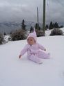 Filename=2005-12-19-0293.JPG
Filesize=955KiB
Dimensions=2304x3072
Date added=Dec 19, 2005 2005-12-19-0293.JPG
