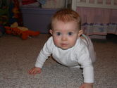Filename=2006-01-06-0014.JPG
Filesize=1177KiB
Dimensions=3072x2304
Date added=Jan 07, 2006 2006-01-06-0014.JPG