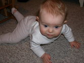 Filename=2006-01-06-0026.JPG
Filesize=1672KiB
Dimensions=3072x2304
Date added=Jan 07, 2006 2006-01-06-0026.JPG
