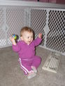 Filename=2006-03-05-0055.JPG
Filesize=2511KiB
Dimensions=2304x3072
Date added=Mar 18, 2006 2006-03-05-0055.JPG