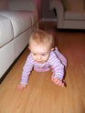 Filename=2006-03-06-0084.JPG
Filesize=1263KiB
Dimensions=2304x3072
Date added=Sep 23, 2006 2006-03-06-0084.JPG