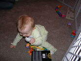 Filename=2006-03-09-0140.JPG
Filesize=1664KiB
Dimensions=3072x2304
Date added=Oct 20, 2006 2006-03-09-0140.JPG