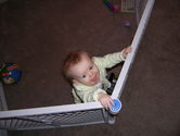 Filename=2006-03-09-0150.JPG
Filesize=2004KiB
Dimensions=3072x2304
Date added=Oct 20, 2006 2006-03-09-0150.JPG