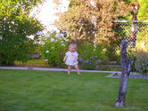 Filename=2006-08-05-0098.JPG
Filesize=1432KiB
Dimensions=3072x2304
Date added=Oct 20, 2006 2006-08-05-0098.JPG