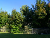 2006-08-05-0102.JPG