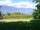 Filename=2006-08-13-arrowleaf-winery-0128.JPG
Filesize=1364KiB
Dimensions=3072x2304
Date added=Sep 22, 2006 2006-08-13-arrowleaf-winery-0128.JPG