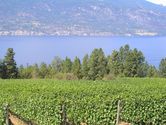 Filename=2006-08-13-arrowleaf-winery-0139.JPG
Filesize=1782KiB
Dimensions=3072x2304
Date added=Sep 22, 2006 2006-08-13-arrowleaf-winery-0139.JPG
