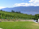 2006-08-13-gray-monk-0155.JPG
