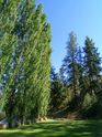 2006-08-16-hainle-0014.JPG