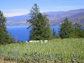 2006-08-16-hainle-0026.JPG