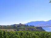 Filename=2006-08-25-poplar-grove-winery-0076.JPG
Filesize=981KiB
Dimensions=3072x2304
Date added=Dec 10, 2006 2006-08-25-poplar-grove-winery-0076.JPG