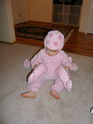 Filename=2006-10-26-0005.JPG
Filesize=1197KiB
Dimensions=2304x3072
Date added=Oct 26, 2006 2006-10-26-0005.JPG
