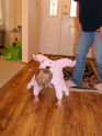 Filename=2006-10-26-0013.JPG
Filesize=1565KiB
Dimensions=2304x3072
Date added=Oct 26, 2006 2006-10-26-0013.JPG