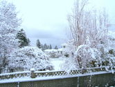 Filename=2006-11-25-0029.JPG
Filesize=1423KiB
Dimensions=3072x2304
Date added=Nov 25, 2006 2006-11-25-0029.JPG