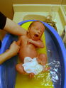 Filename=2006-12-18-0039.JPG
Filesize=3464KiB
Dimensions=2304x3072
Date added=Dec 18, 2006 2006-12-18-0039.JPG
