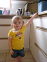 Filename=2007-07-01-0136.JPG
Filesize=3379KiB
Dimensions=2304x3072
Date added=Jul 04, 2007 2007-07-01-0136.JPG