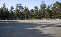 Filename=20090619_Tofino_2663.jpg
Filesize=826KiB
Dimensions=1200x726
Date added=Jun 23, 2009 20090619_Tofino_2663.jpg
