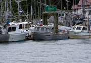 Filename=20090620_Tofino_2399.jpg
Filesize=468KiB
Dimensions=1200x830
Date added=Aug 03, 2009 20090620_Tofino_2399.jpg