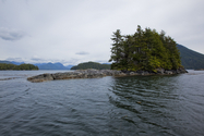 Filename=20090620_Tofino_2512.jpg
Filesize=580KiB
Dimensions=1200x800
Date added=Aug 03, 2009 20090620_Tofino_2512.jpg