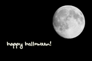 Filename=20091031_Moon_7303_copy.jpg
Filesize=170KiB
Dimensions=1200x800
Date added=Oct 31, 2009 20091031_Moon_7303_copy.jpg