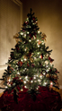 Filename=20091205_Christmas_Tree_9081.jpg
Filesize=801KiB
Dimensions=667x1200
Date added=Dec 06, 2009 20091205_Christmas_Tree_9081.jpg